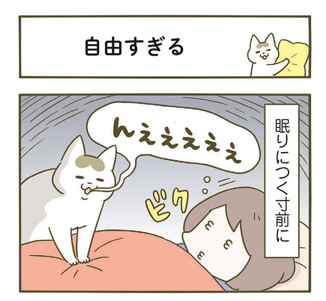 「寝る時に猫が布団に入ってくる」幸せな瞬間だが「自由すぎる猫」は／うちの猫がまた変なことしてる。5 1.jpg