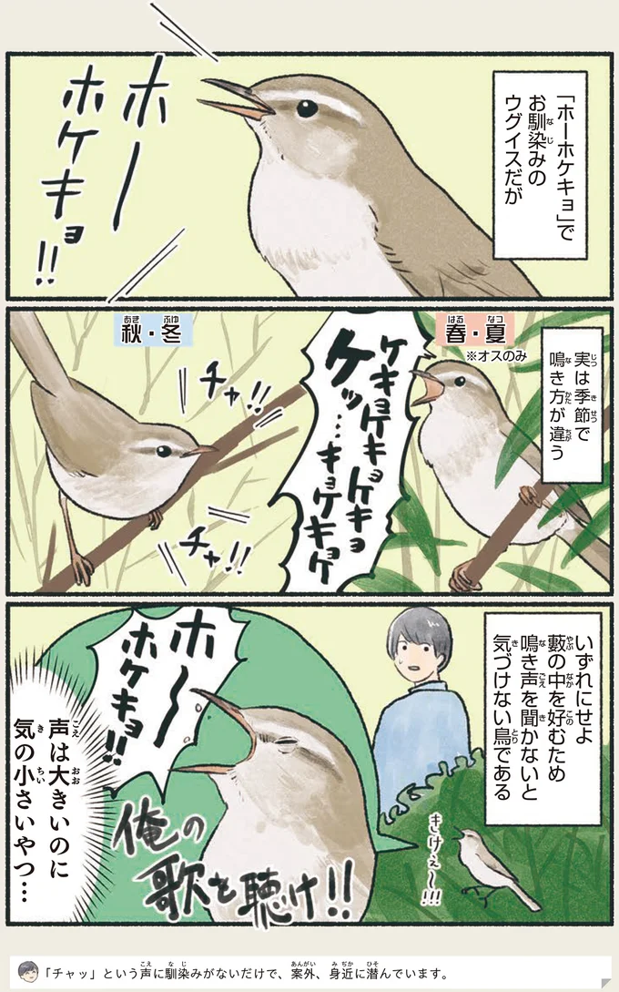 『意外と知らない鳥の生活 1〜2』 151.webp