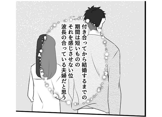 最愛の彼女と結婚し、幸せの絶頂だった新婚時代。しかし彼女が過去を一切語らない理由は...？／妻のすべてを知った夫