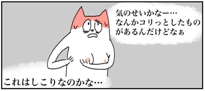 え、胸の横のこのしこりって...これってまさか乳がん？／アラサー会社員の乳がんの備忘録 