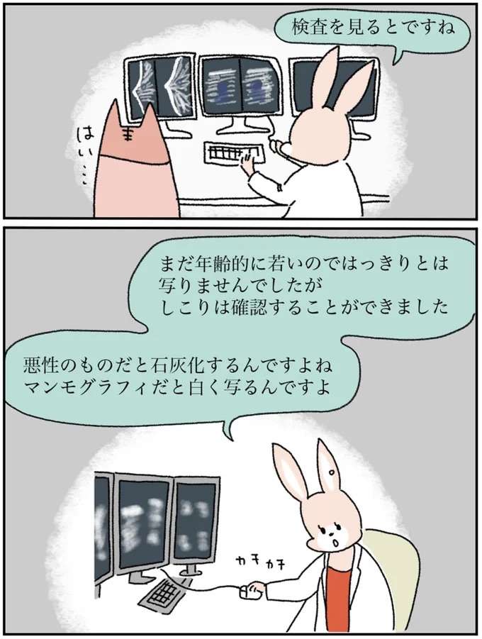 『アラサー会社員の乳がんの備忘録』 arasa2_12.jpeg