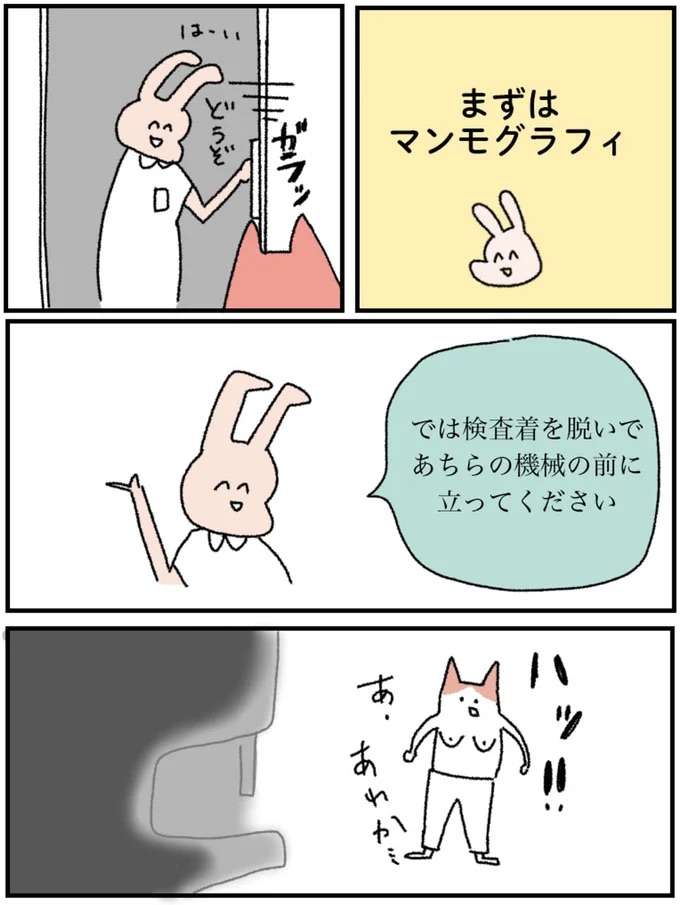 『アラサー会社員の乳がんの備忘録』 arasa2_5.jpeg