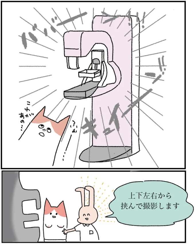 『アラサー会社員の乳がんの備忘録』 arasa2_6.jpeg