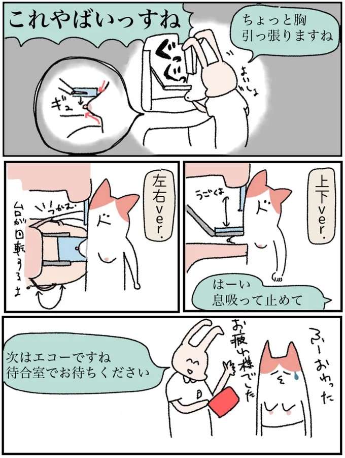 『アラサー会社員の乳がんの備忘録』 arasa2_7.jpeg