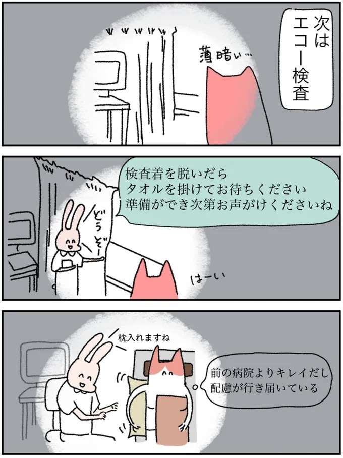 『アラサー会社員の乳がんの備忘録』 arasa2_8.jpeg