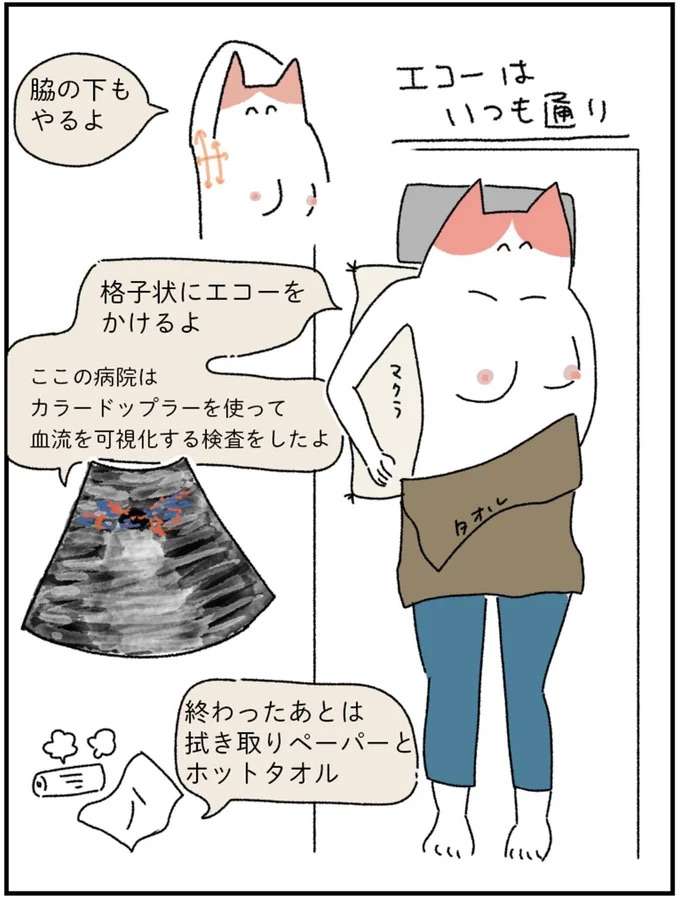 『アラサー会社員の乳がんの備忘録』 arasa2_9.jpeg