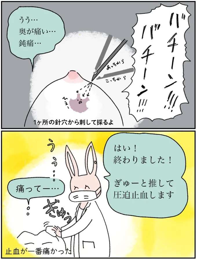 『アラサー会社員の乳がんの備忘録』 arasa3_10.jpeg