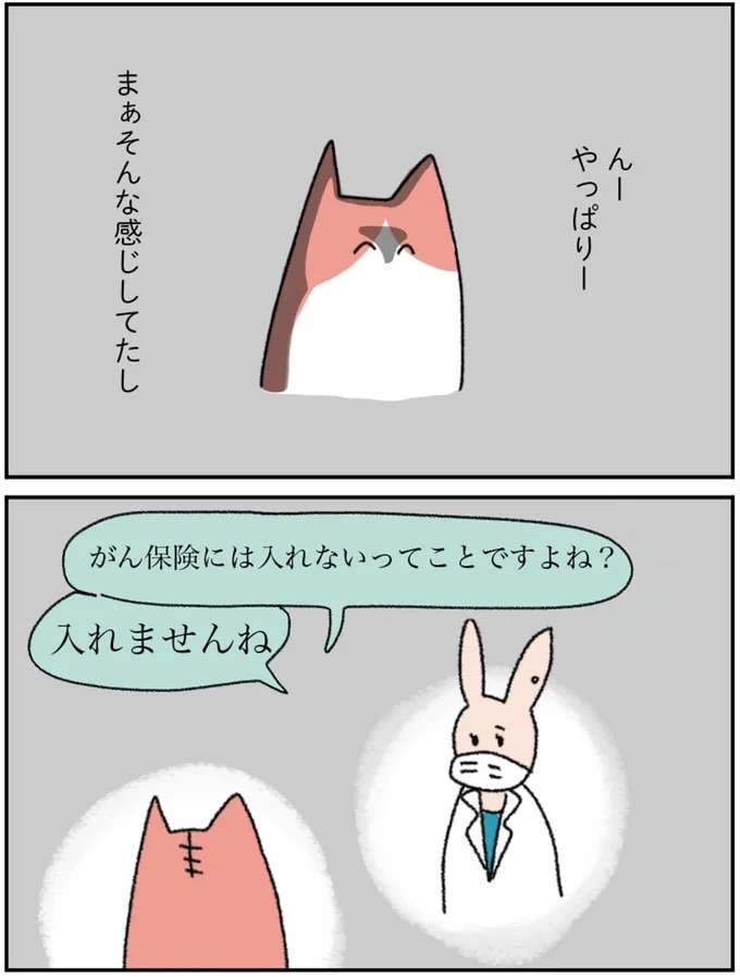 『アラサー会社員の乳がんの備忘録』 arasa5_4.jpeg