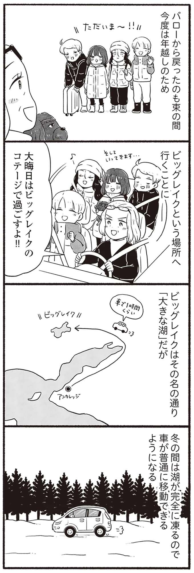 家庭用花火がまるで兵器。アラスカ・ビッグレイクの年越しの衝撃／アラスカワイルドファミリー arasukawairudofamiri10_1.jpeg