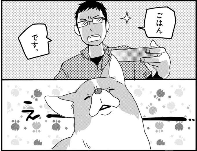 「あきたもーん」カリカリに飽きたワンコ。でも楽しい遊びにすれば...／あしょんでよッ ～うちの犬ログ～1