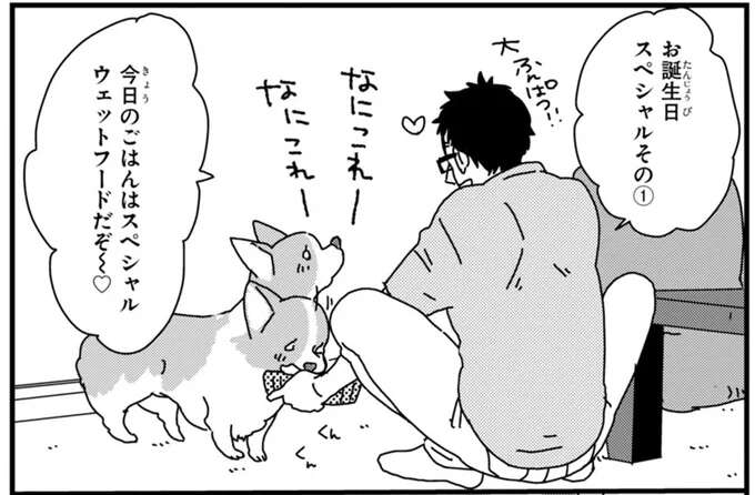 ワンコの誕生日祝い。よかれと思って盛り上げたら...本当にごめん／あしょんでよッ ～うちの犬ログ～2