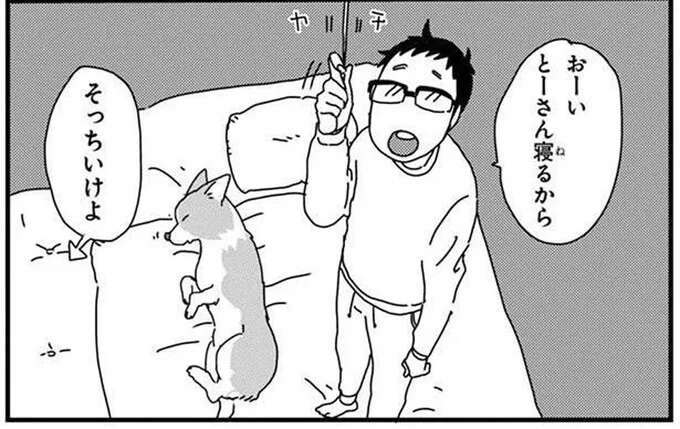 身体が...動かない! 愛犬コーギーと寝た飼い主が目を覚ましたら?/あしょんでよッ4