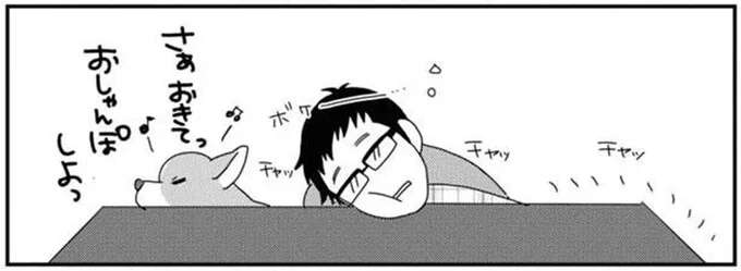 ワンコと静電気。愛犬が散歩をねだってペロッとしたら...あっ！／あしょんでよッ7