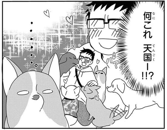 「犬見知り」な愛犬とドッグラン。よそのワンコに懐かれた飼い主は...／あしょんでよッ10