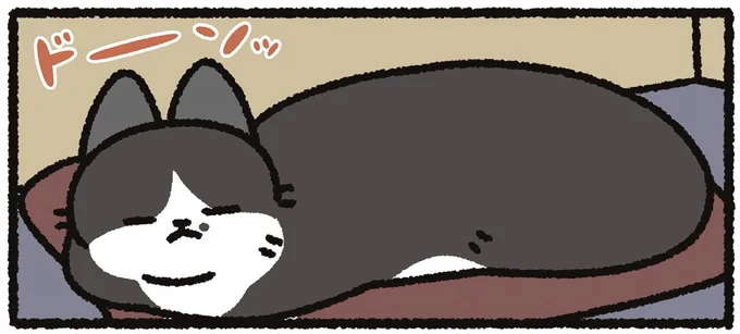 朝の猫。枕をドーンッと占拠してる姿を見て飼い主は／あっち こっち ネッチ！