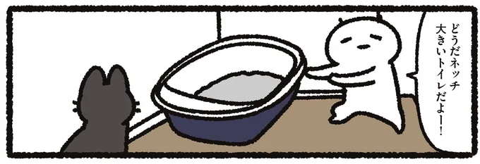 猫によって違う？ うちの猫のトイレの癖／あっち こっち ネッチ！