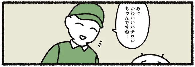 そう、かわいいの！ 完全室内飼いの愛猫を褒められた飼い主の心境／あっち こっち ネッチ！