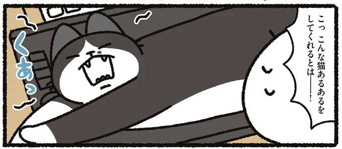 「こんな猫あるあるをしてくれるとは――！」。うわああああ‼／あっち こっち ネッチ！