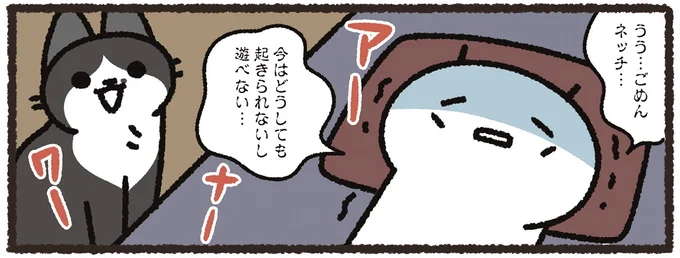 「猫の誘い」を断った飼い主。あとから謝りに行くと...ああ／あっち こっち ネッチ！