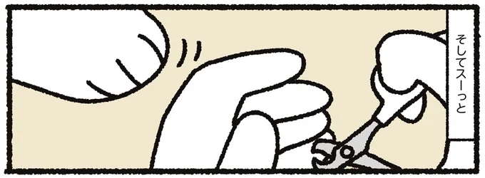 猫の爪切りあるある？ 寝てるときはOKでも、起きたら静かにスーッと...／あっち こっち ネッチ！