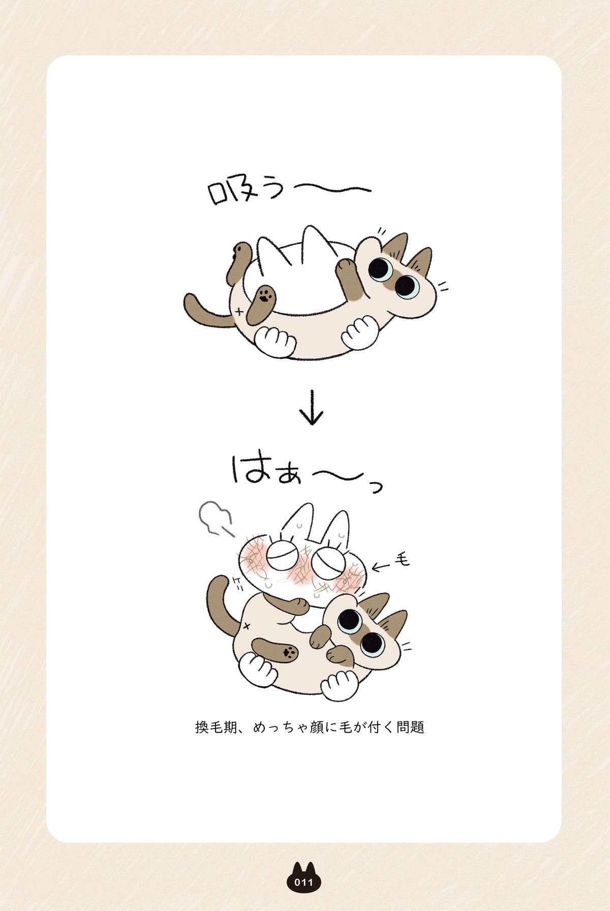 「その顔は...」うちの猫、怒った顔をすれば甘やかしてくれると知って／とっても!!!! シャム猫あずきさん azukisan4_P011.jpg