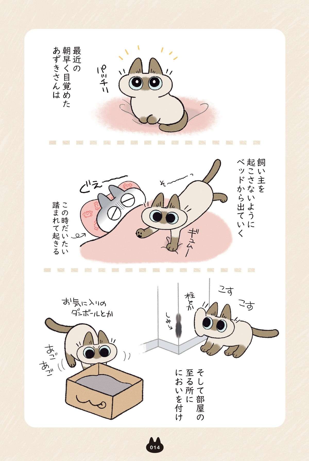 「愛猫に責任感が芽生えた？」シャム猫あずきさんのモーニングルーティンとは／とっても!!!! シャム猫あずきさん azukisan4_P014.jpg