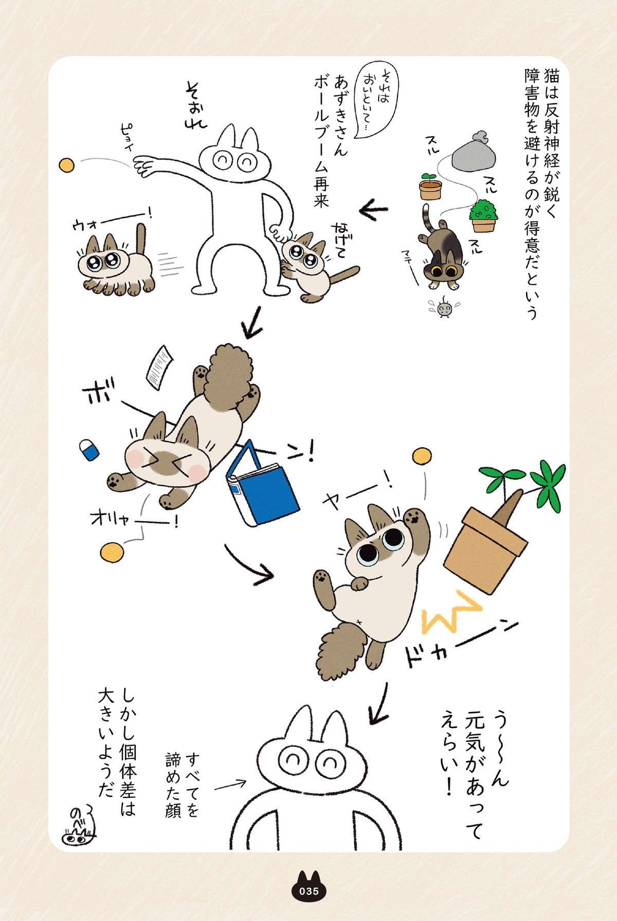 手を出すと顎を乗せてくる猫がかわいすぎ。飼い主の手は猫に尽くすためにある⁉／とっても!!!! シャム猫あずきさん azukisan4_P035.jpg