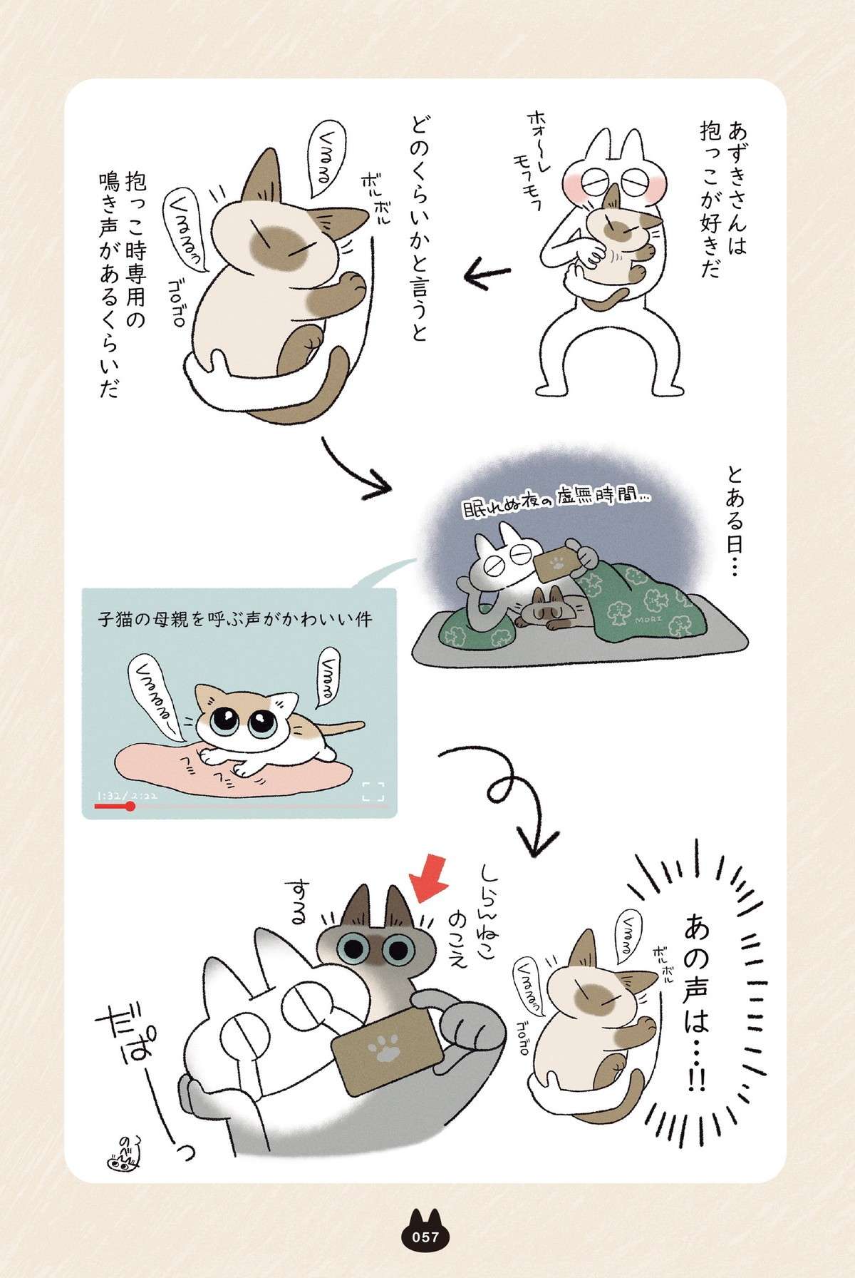 飼い主が思わず涙した「猫の行動」。あの鳴き声にこんな意味が...⁉／とっても!!!! シャム猫あずきさん azukisan4_P057.jpg