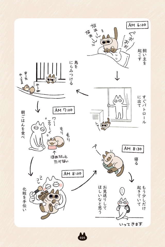 えっ、猫のしっぽが膨らんで「たぬきしっぽ」に。そんなに違う？／シャム猫あずきさん azukisan_025.jpg