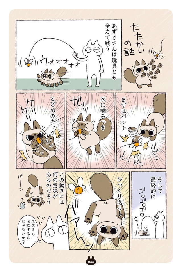 この猫のかわいらしさ。隠れて驚かせたようとしているので、待っていてあげると...／シャム猫あずきさん azukisan_033.jpg