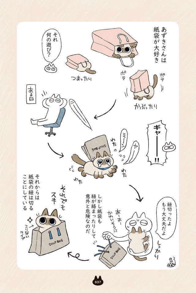 「夢のようにかわいい～！」猫のひとり遊び用のおもちゃを買ったら...／シャム猫あずきさん azukisan_037.jpg