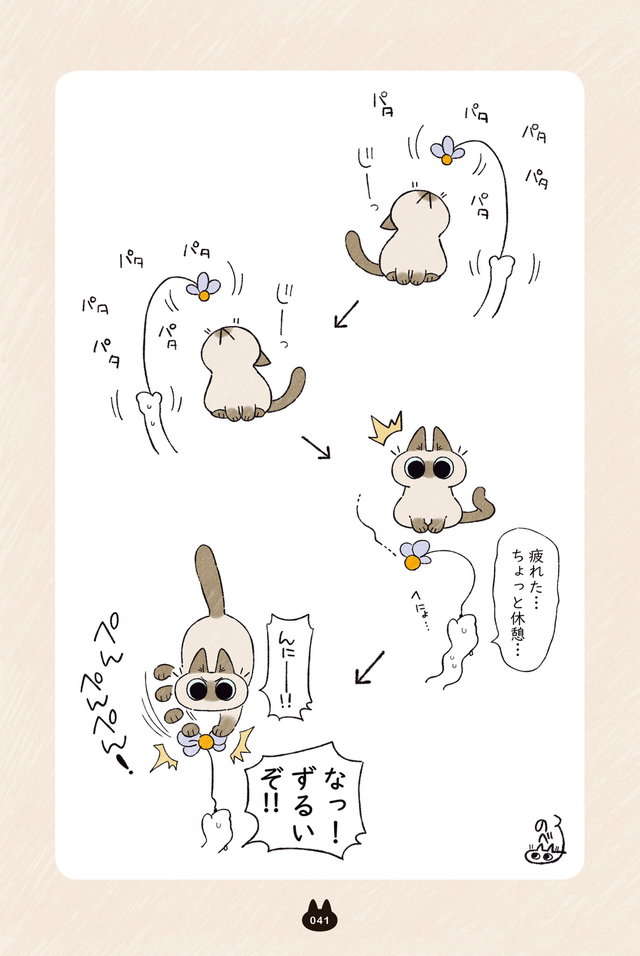 「わかったわかった遊ぶ遊ぶ！」愛猫が遊んでほしいときの誘い方がかなり強引で...／シャム猫あずきさん azukisan_041.jpg