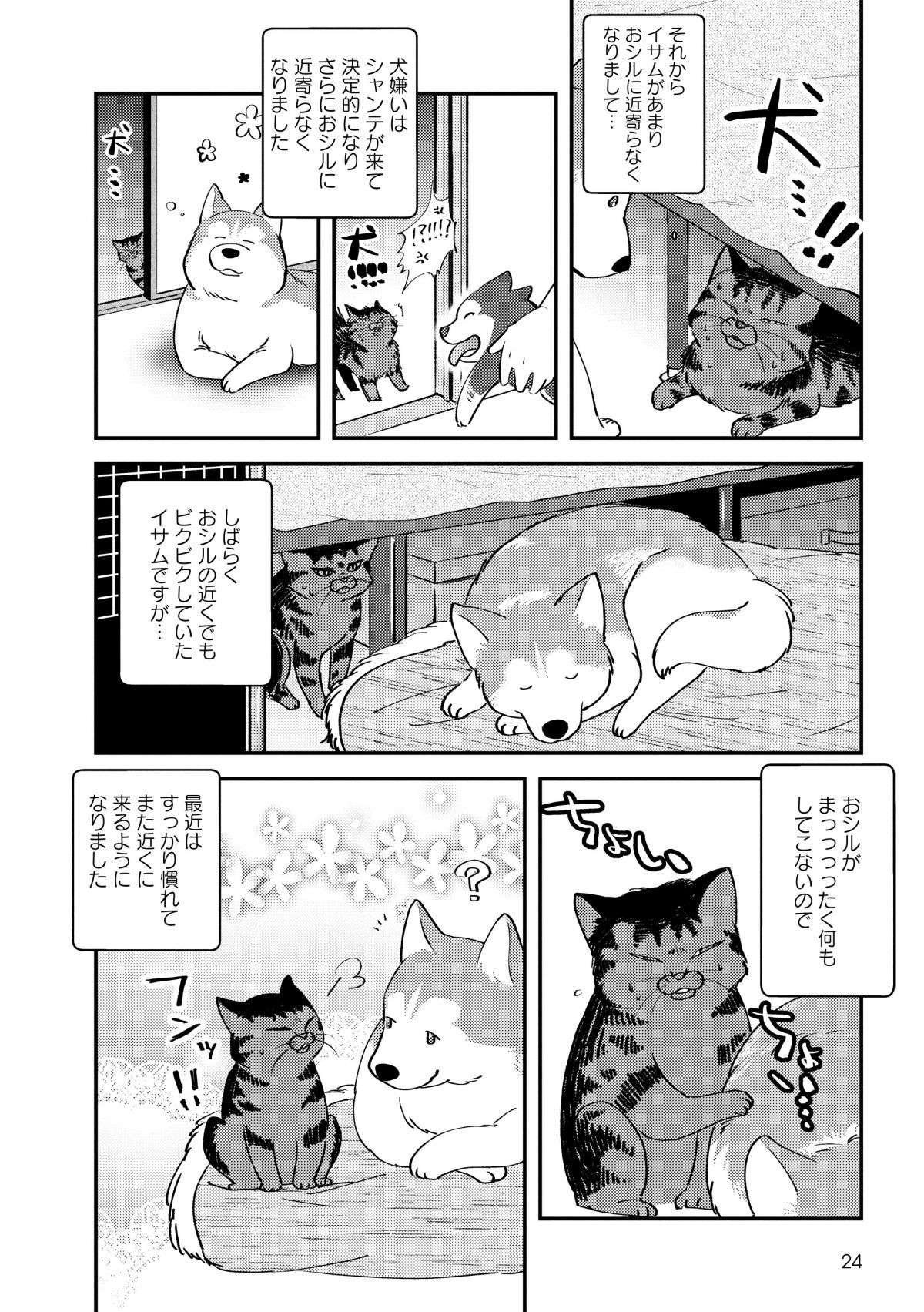 我が家のハスキーを「犬」だと思っていなかった愛猫。ある日、気づいた結果／猫とハスキーとハマジ2 ２.jpg