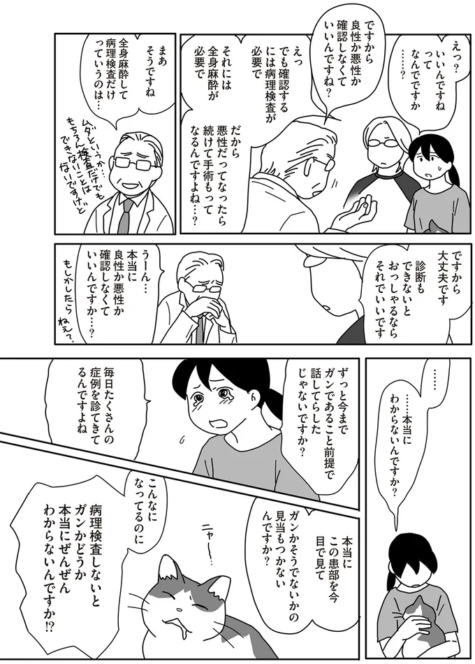 「手術しないのはもったいない」。愛猫の手術を医師は強く勧めるけれど...／世界一幸せな飼い主にしてくれた猫 12-04.png
