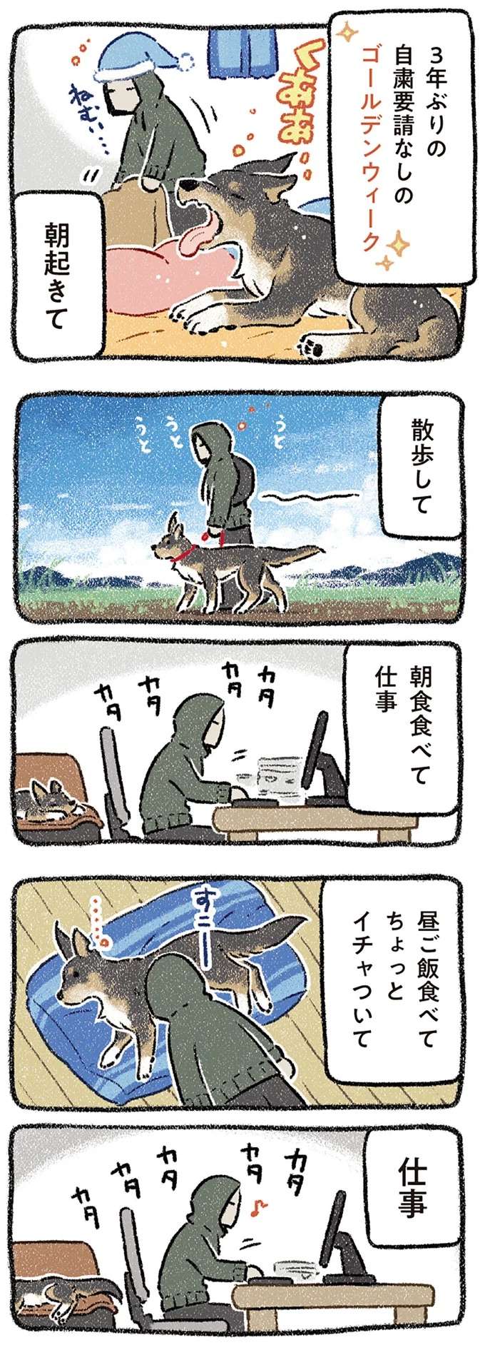 小型犬になっちゃう！ 大型犬好きな飼い主が17キロ超えの愛犬に思うこと／ドベとノラ2 dobetonora16_1.jpeg