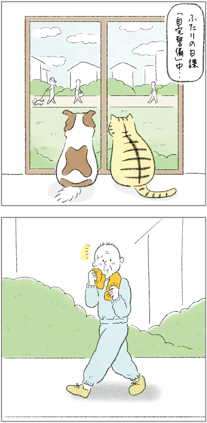 わが家の猫＆犬の日課「自宅警備」。外を歩くおじさんに手を振られ...／元ノラ猫と元保護犬、ふたりは親友 11-01.png