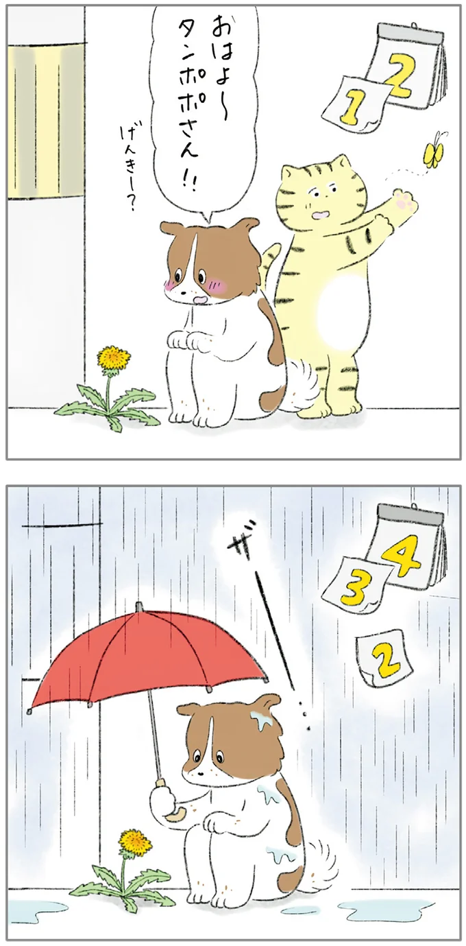 『ターとアグのしあわせ日和 元ノラ猫と元保護犬、ふたりは親友』 02-04.png