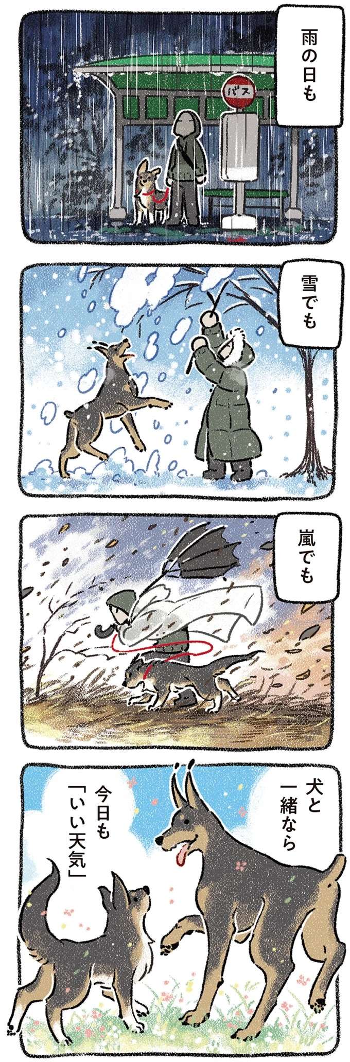 晴れの日でも雨の日でも、どこへ行っても...愛犬と一緒ならいつも最高！／ドベとノラ2 dobetonora17_2.jpeg