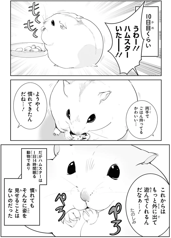 『はむはむづくし1〜2』 01-02.png