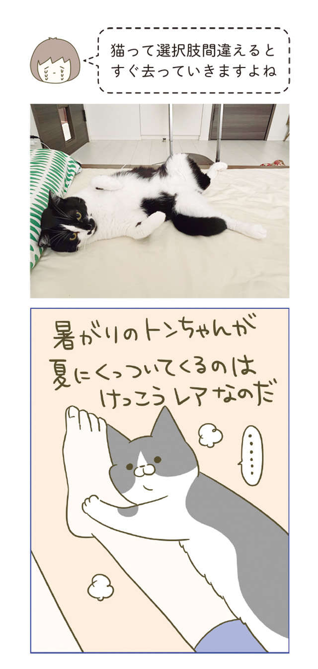 服に潜り込みたい愛猫。でも季節によっては調整が必要で...／うちの猫がまた変なことしてる。6 12.jpg