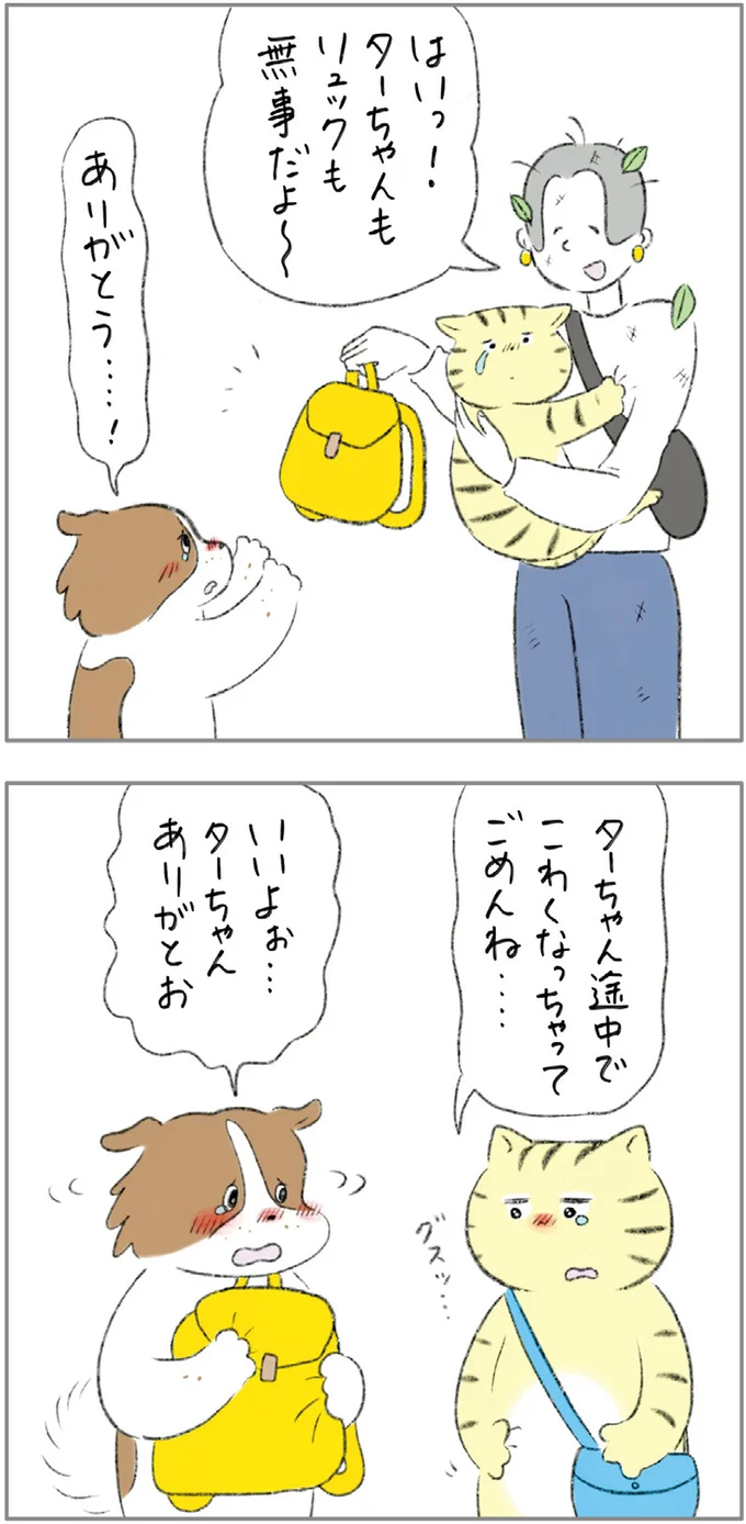 リュックをもらって大喜び！ 元ノラ猫と元保護犬が散歩に出かけたら...／元ノラ猫と元保護犬、ふたりは親友 01-13.png