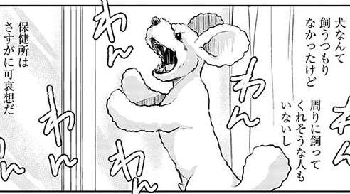 「ほんっとすみません」元カノに押し付けられた暴れ犬。散歩に行くだけで大変な事態に！ ／DOG SIGNAL1