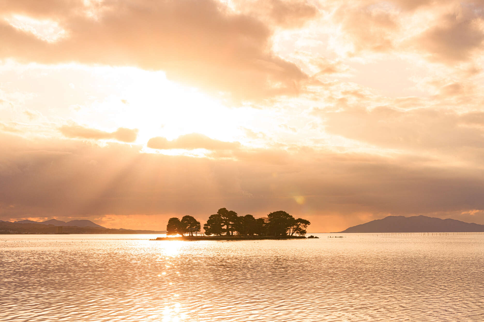 【ばけばけ】吉沢亮が魂を削って生きた
