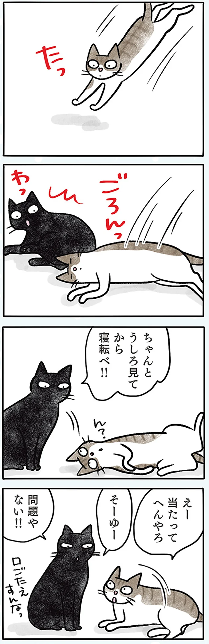 『黒猫ナノとキジシロ猫きなこ』 07-02.png