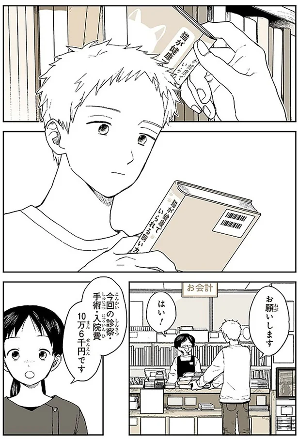 愛する猫の体調が急変！ 獣医師の指摘に飼い主が真っ青に...／特別じゃない日 15678937.webp