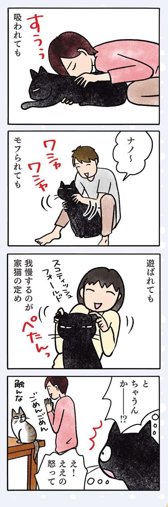 「ええの怒って」驚く猫。吸われてもモフられても我慢するのが定め!?／黒猫ナノとキジシロ猫きなこ kuroneko_nano10-3.jpg