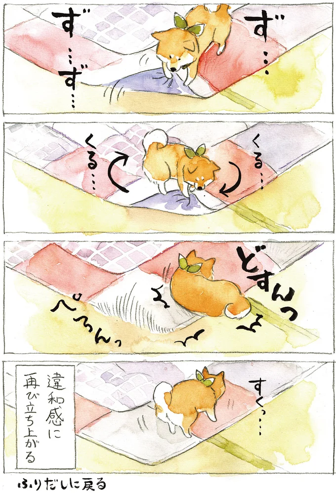 【悲報】わが家の柴犬はどんなに着飾っても「おじさん」になることが判明／柴犬ぽんちゃん、今日もわが道を行く２ 09-02.png