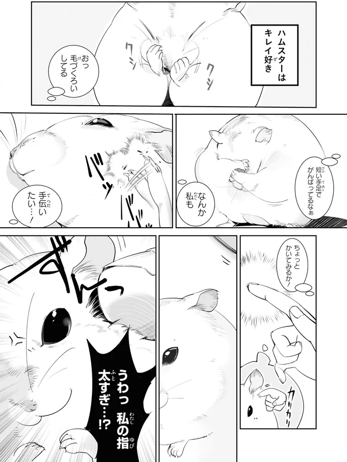 ハムスターを群れにまぜちゃダメ。毎日見ている飼い主も...そうなの!?／はむはむづくし1 06-02.png
