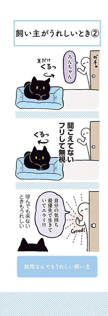 ブラッシングが好きな愛猫。でも、仕上げの「これ」だけは苦手で...!?／黒猫ろんと暮らしたら2 22.jpg