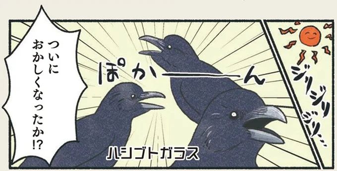 暑い日には口をパカッ。黒いカラスは体温調節も大変／意外と知らない鳥の生活